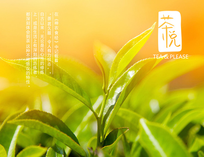 茶悦|平面|品牌|VENSON32 